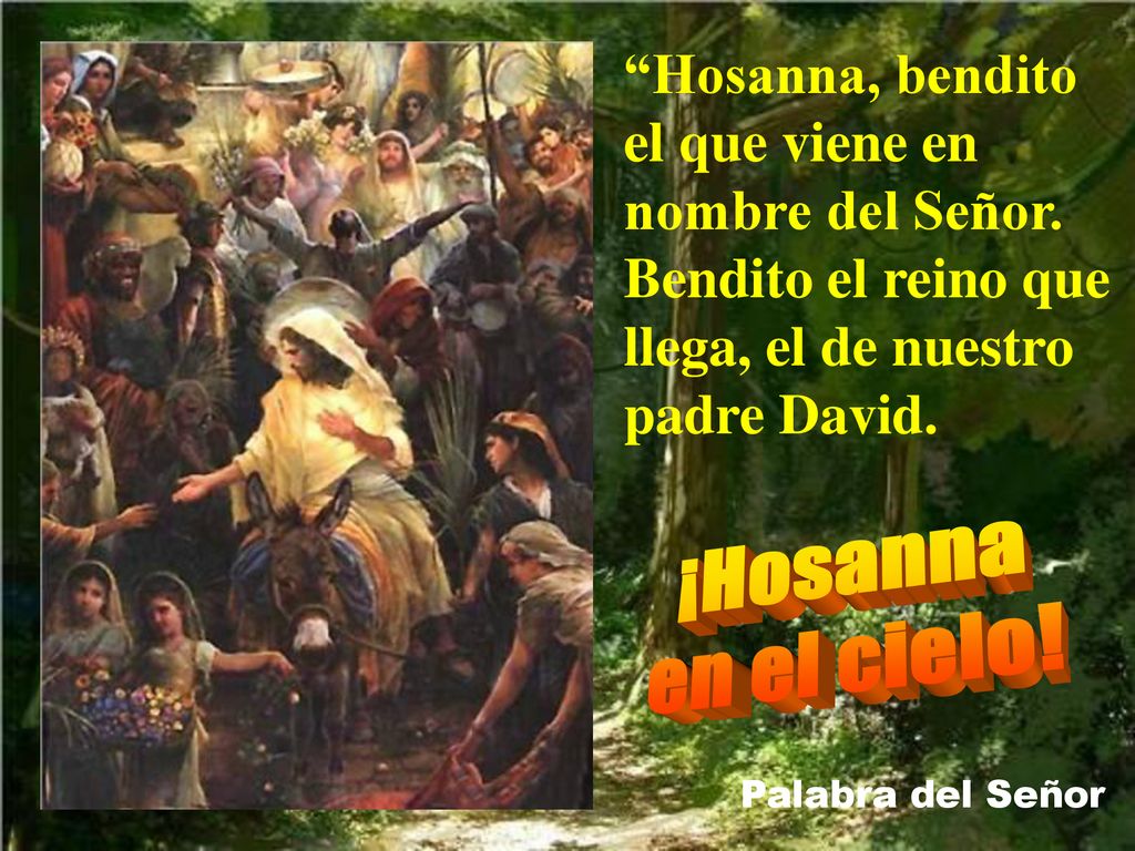 Hosanna, bendito el que viene en nombre del Señor