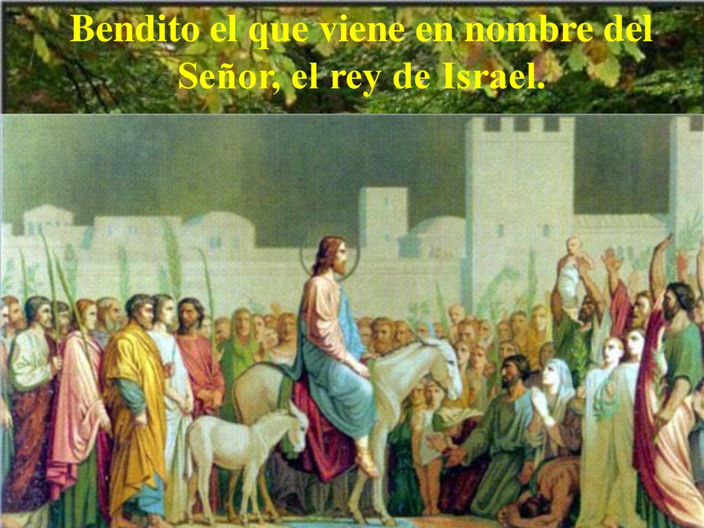 Bendito el que viene en nombre del Señor, el rey de Israel.