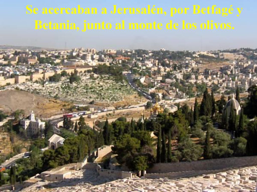 Se acercaban a Jerusalén, por Betfagé y Betania, junto al monte de los olivos.