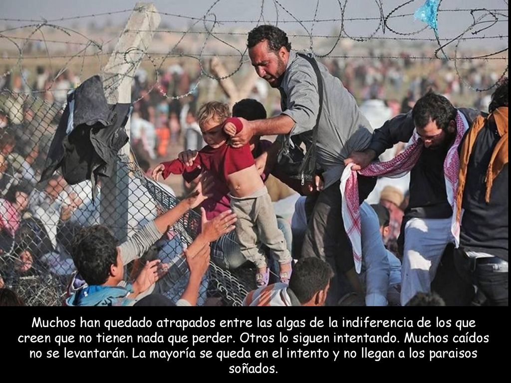 Muchos han quedado atrapados entre las algas de la indiferencia de los que creen que no tienen nada que perder.