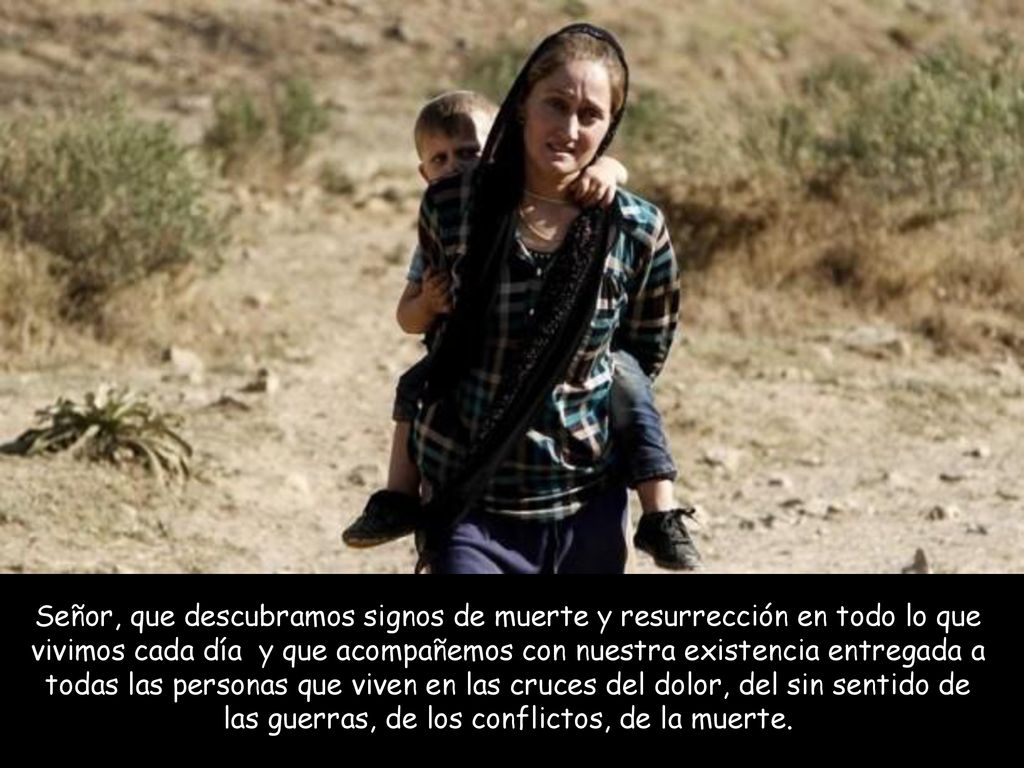 Señor, que descubramos signos de muerte y resurrección en todo lo que vivimos cada día y que acompañemos con nuestra existencia entregada a todas las personas que viven en las cruces del dolor, del sin sentido de las guerras, de los conflictos, de la muerte.