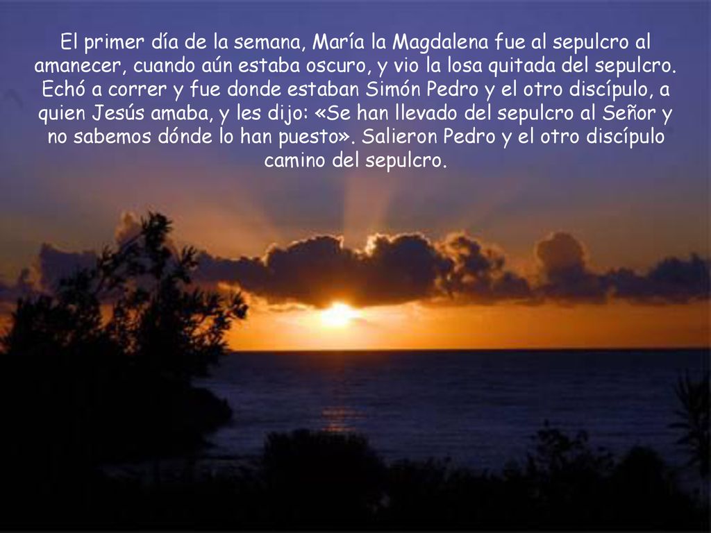 El primer día de la semana, María la Magdalena fue al sepulcro al amanecer, cuando aún estaba oscuro, y vio la losa quitada del sepulcro.