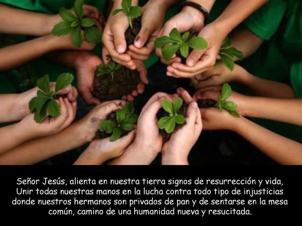 Señor Jesús, alienta en nuestra tierra signos de resurrección y vida, Unir todas nuestras manos en la lucha contra todo tipo de injusticias donde nuestros hermanos son privados de pan y de sentarse en la mesa común, camino de una humanidad nueva y resucitada.