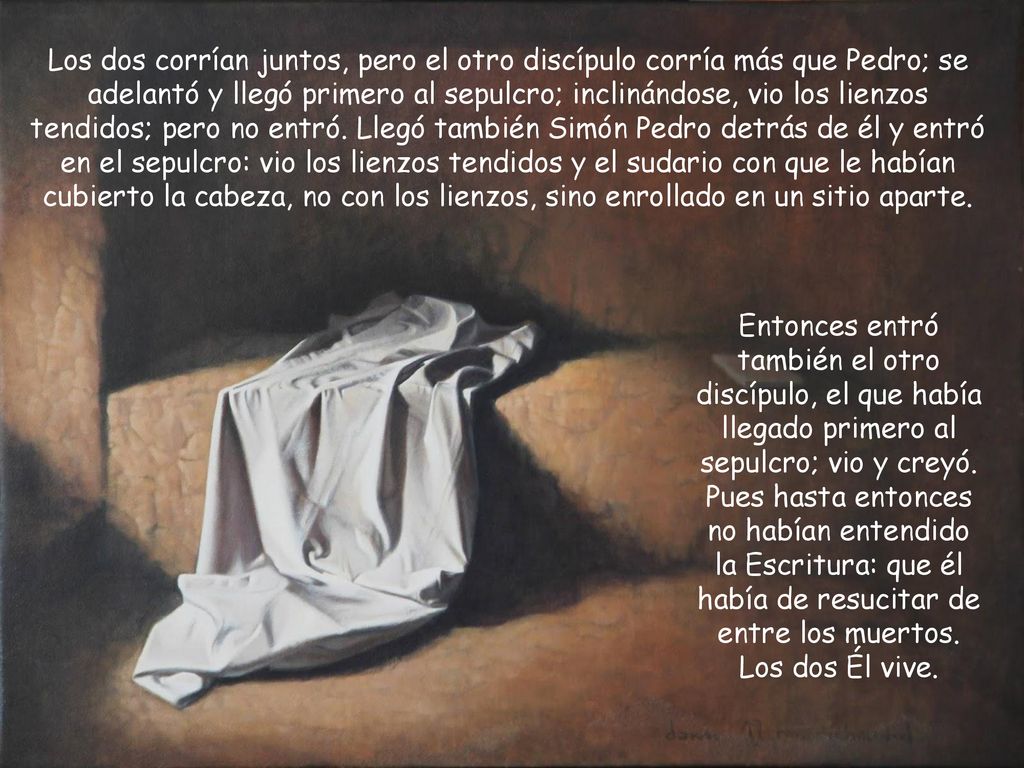 Los dos corrían juntos, pero el otro discípulo corría más que Pedro; se adelantó y llegó primero al sepulcro; inclinándose, vio los lienzos tendidos; pero no entró. Llegó también Simón Pedro detrás de él y entró en el sepulcro: vio los lienzos tendidos y el sudario con que le habían cubierto la cabeza, no con los lienzos, sino enrollado en un sitio aparte.