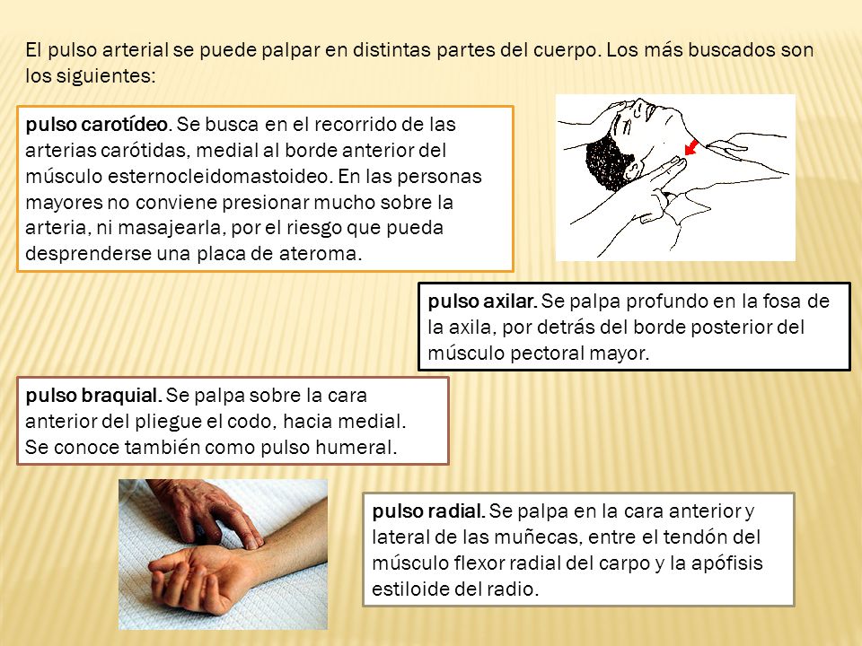 El pulso arterial se puede palpar en distintas partes del cuerpo