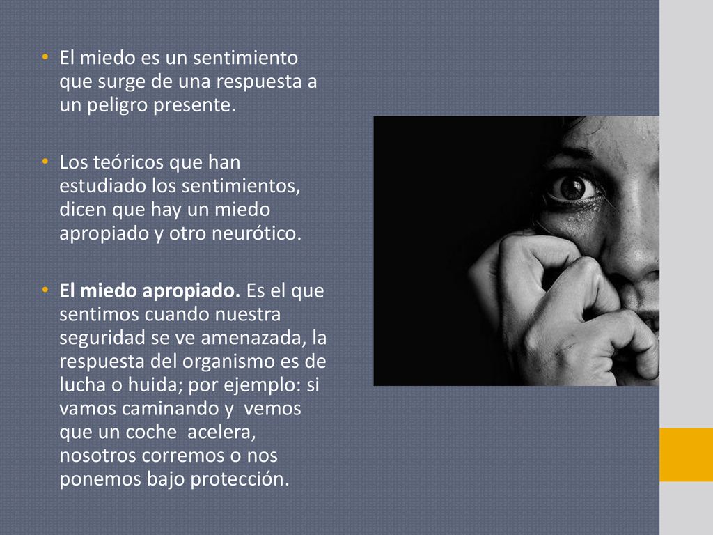 El miedo es un sentimiento que surge de una respuesta a un peligro presente.