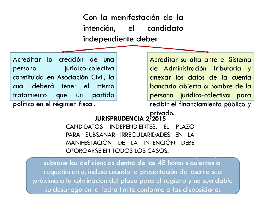 Con la manifestación de la intención, el candidato independiente debe:
