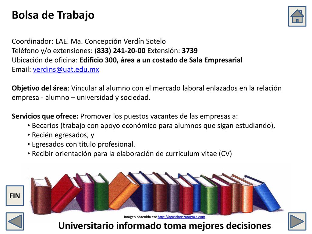 Bolsa de Trabajo Coordinador: LAE. Ma. Concepción Verdín Sotelo