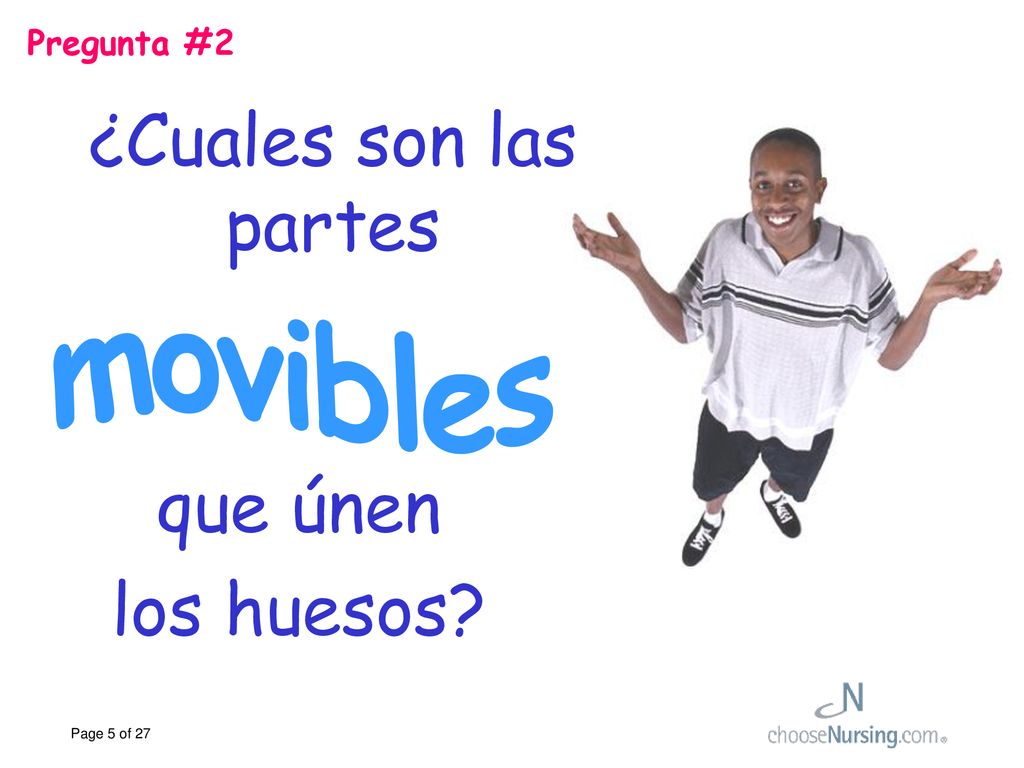 Pregunta #2 ¿Cuales son las partes movibles que únen los huesos