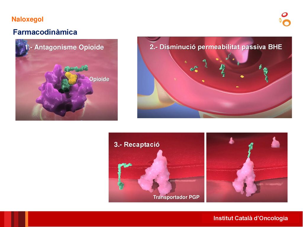 Farmacodinàmica Naloxegol 1.- Antagonisme Opioide