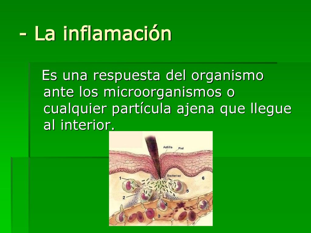 - La inflamación Es una respuesta del organismo ante los microorganismos o cualquier partícula ajena que llegue al interior.