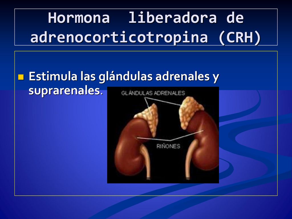 Hormona liberadora de adrenocorticotropina (CRH)