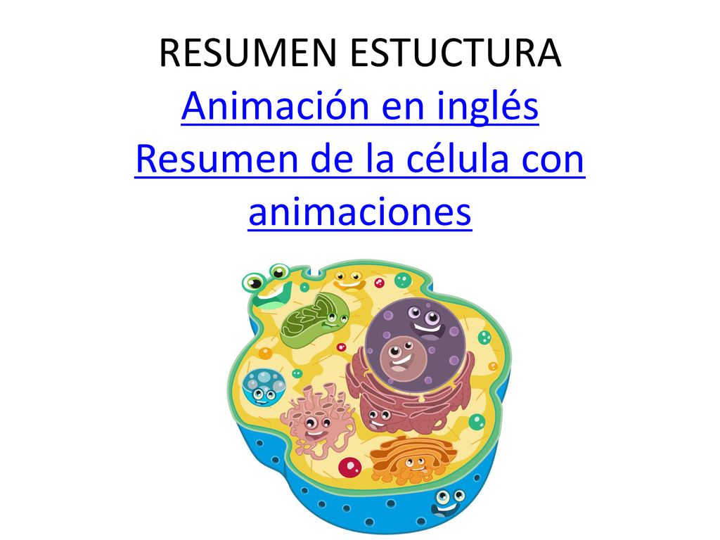 RESUMEN ESTUCTURA Animación en inglés Resumen de la célula con animaciones