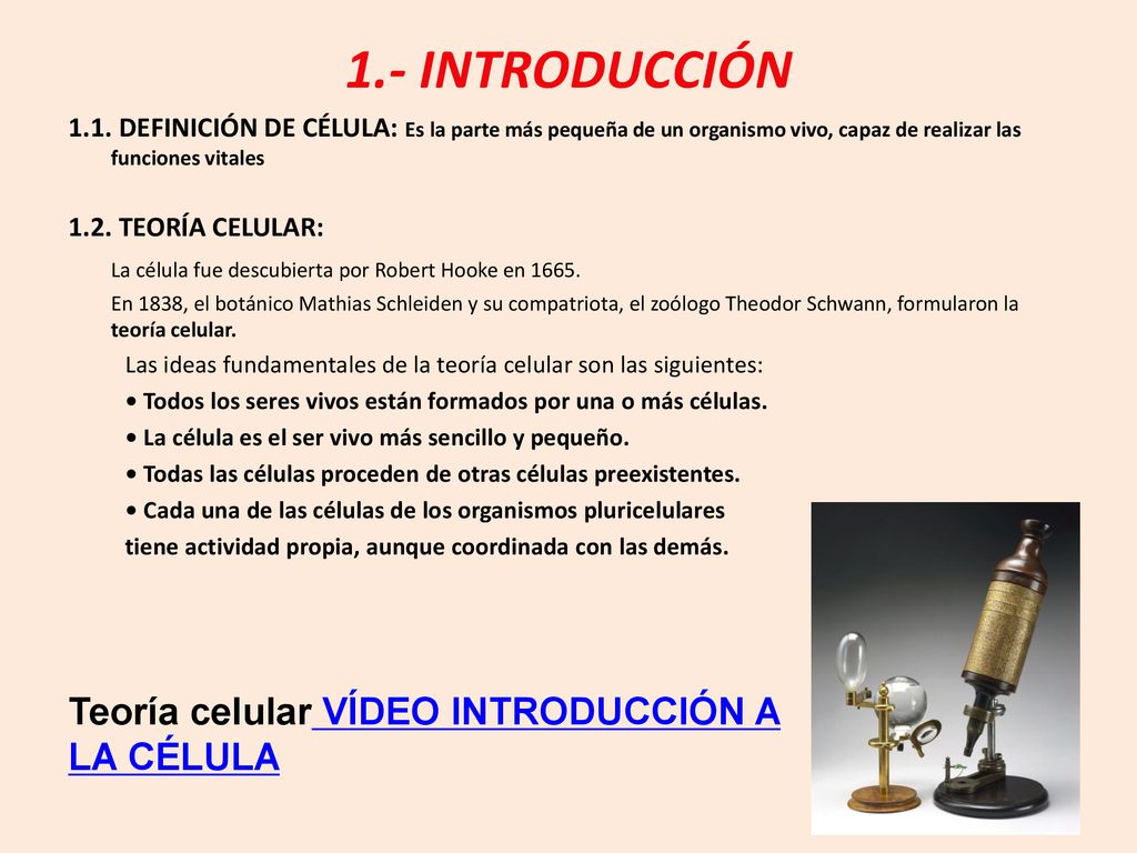 1.- INTRODUCCIÓN Teoría celular VÍDEO INTRODUCCIÓN A LA CÉLULA