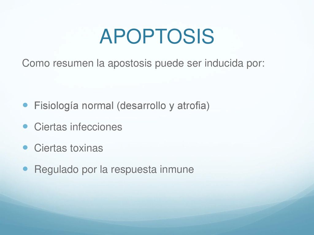 APOPTOSIS Como resumen la apostosis puede ser inducida por: