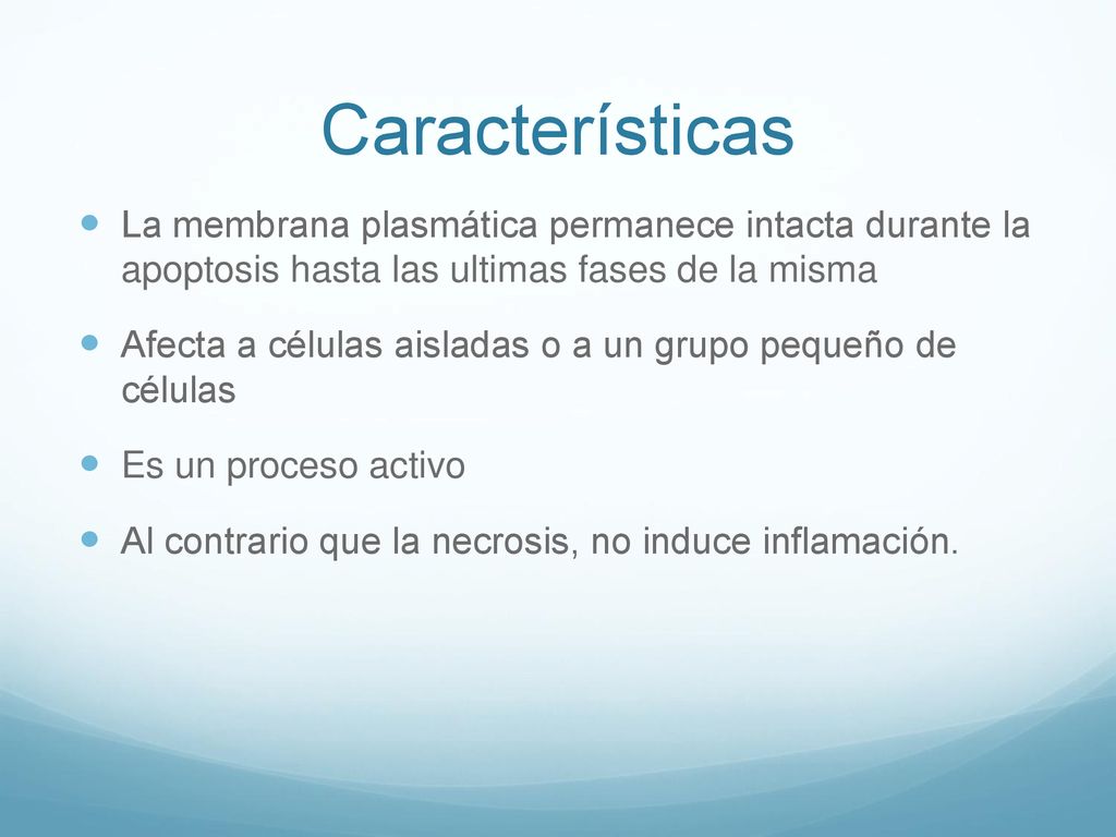 Características La membrana plasmática permanece intacta durante la apoptosis hasta las ultimas fases de la misma.