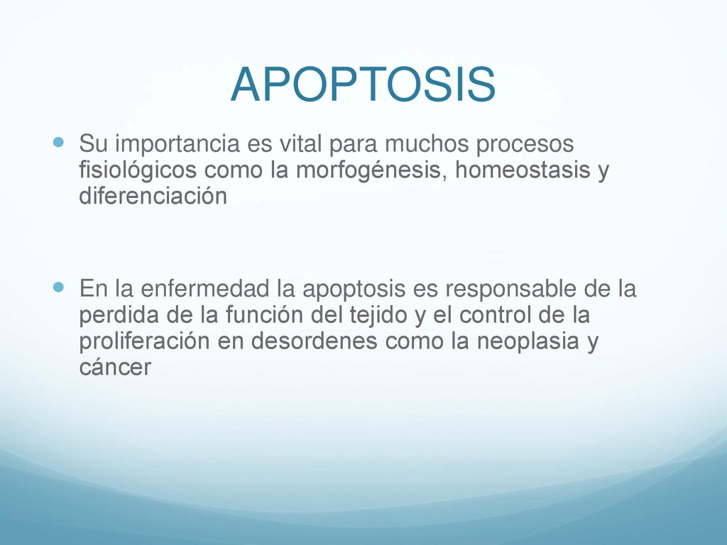 APOPTOSIS Su importancia es vital para muchos procesos fisiológicos como la morfogénesis, homeostasis y diferenciación.
