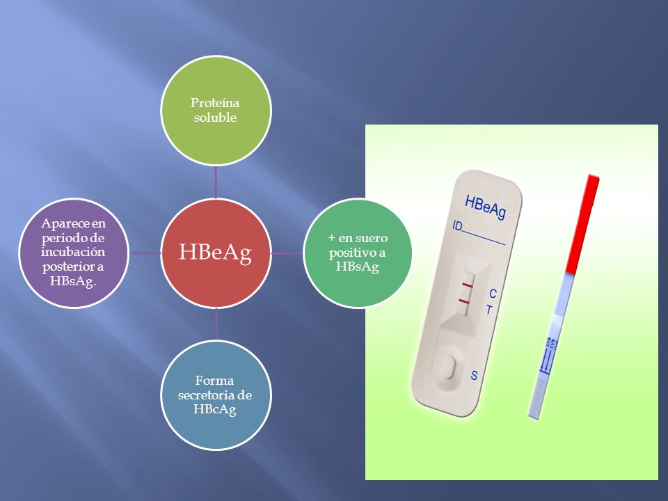 + en suero positivo a HBsAg Forma secretoria de HBcAg
