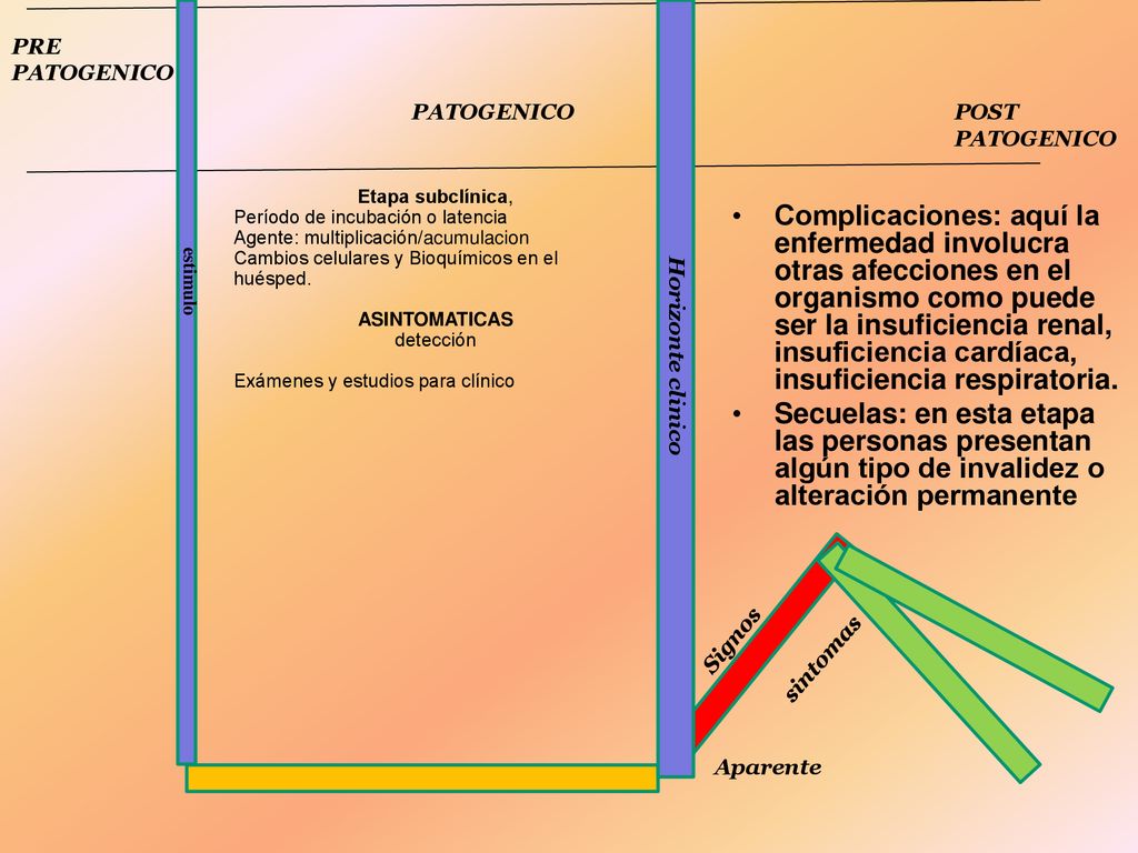 PRE PATOGENICO. PATOGENICO. POST. PATOGENICO. estimulo. Etapa subclínica, Período de incubación o latencia.