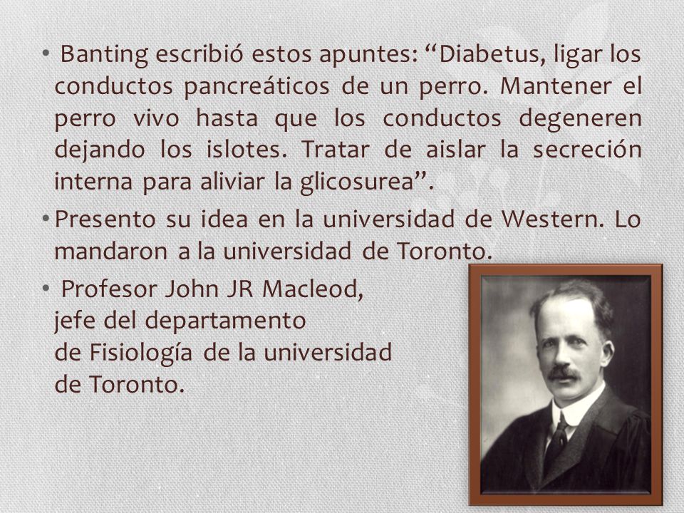Banting escribió estos apuntes: Diabetus, ligar los conductos pancreáticos de un perro. Mantener el perro vivo hasta que los conductos degeneren dejando los islotes. Tratar de aislar la secreción interna para aliviar la glicosurea .