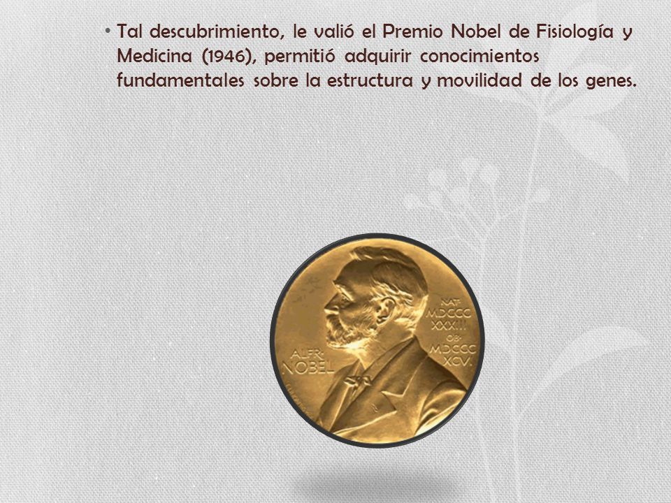 Tal descubrimiento, le valió el Premio Nobel de Fisiología y Medicina (1946), permitió adquirir conocimientos fundamentales sobre la estructura y movilidad de los genes.