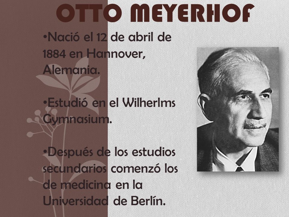 Otto Meyerhof Nació el 12 de abril de 1884 en Hannover, Alemania.