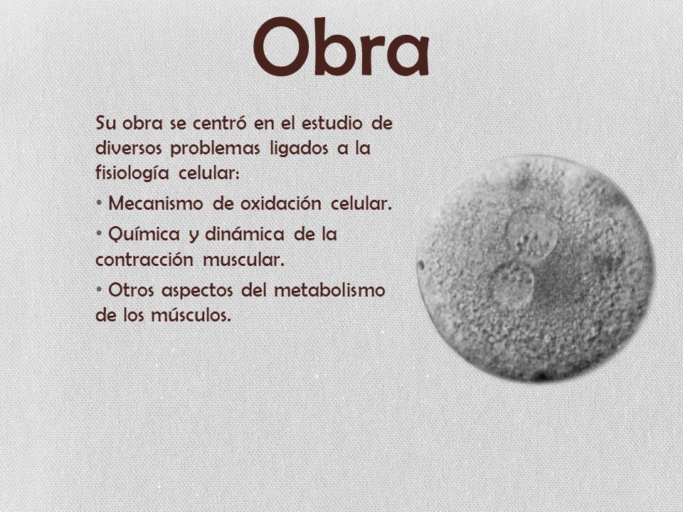 Obra Su obra se centró en el estudio de diversos problemas ligados a la fisiología celular: Mecanismo de oxidación celular.