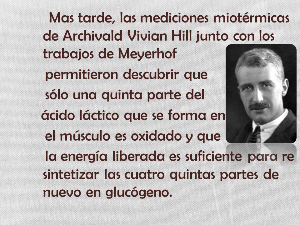 Mas tarde, las mediciones miotérmicas de Archivald Vivian Hill junto con los trabajos de Meyerhof