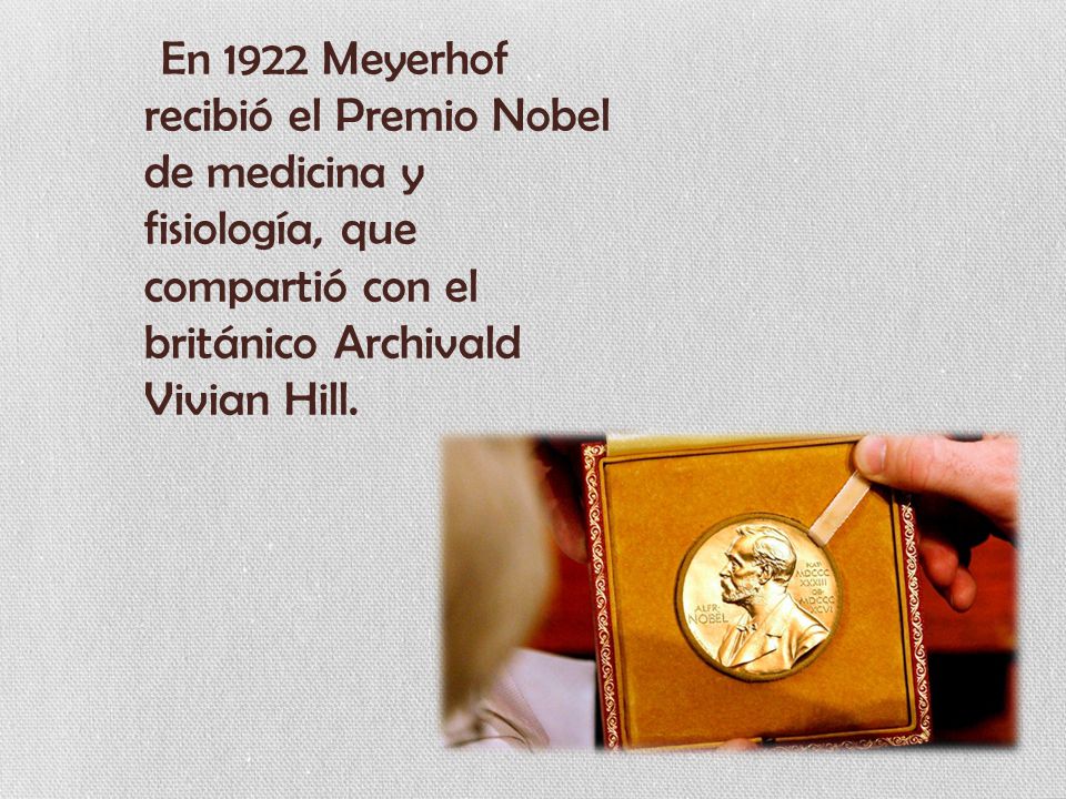 En 1922 Meyerhof recibió el Premio Nobel de medicina y fisiología, que compartió con el británico Archivald Vivian Hill.