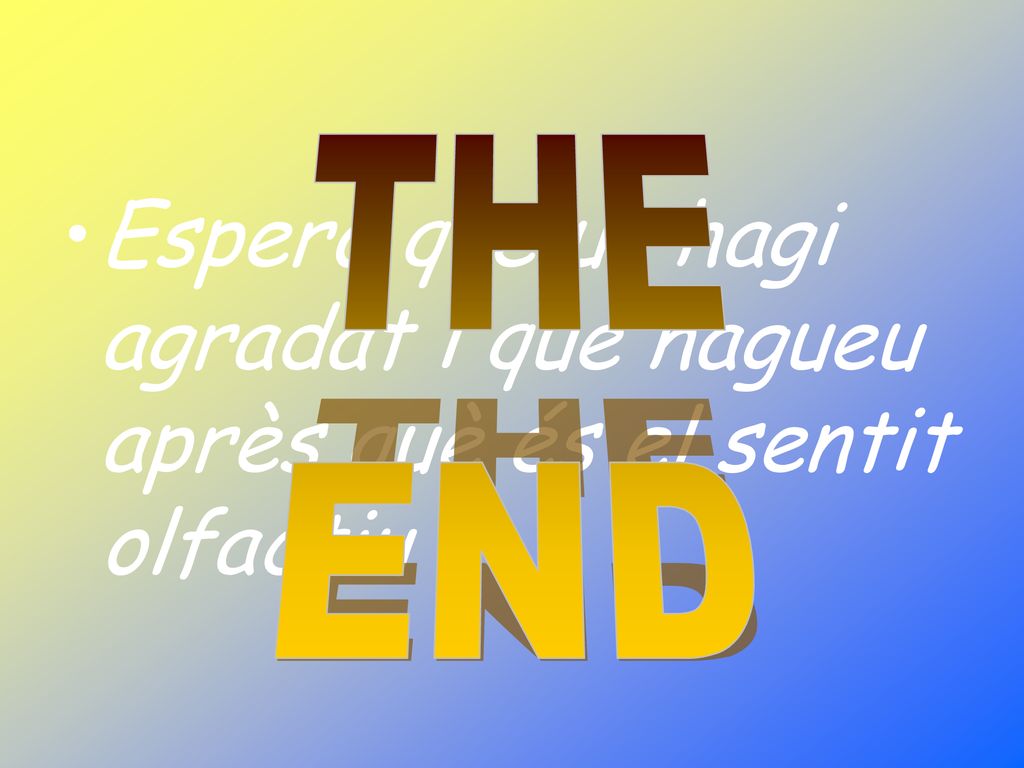 THE END. Espero que us hagi agradat i que hagueu après què és el sentit olfactiu .
