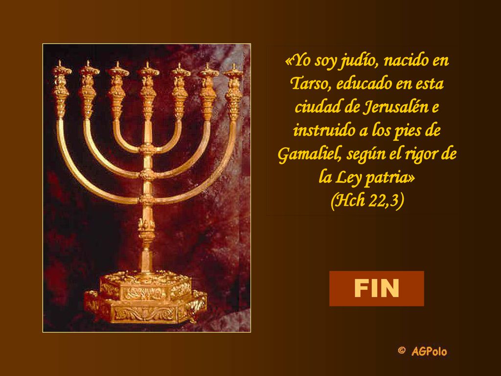 «Yo soy judío, nacido en Tarso, educado en esta ciudad de Jerusalén e instruido a los pies de Gamaliel, según el rigor de la Ley patria»