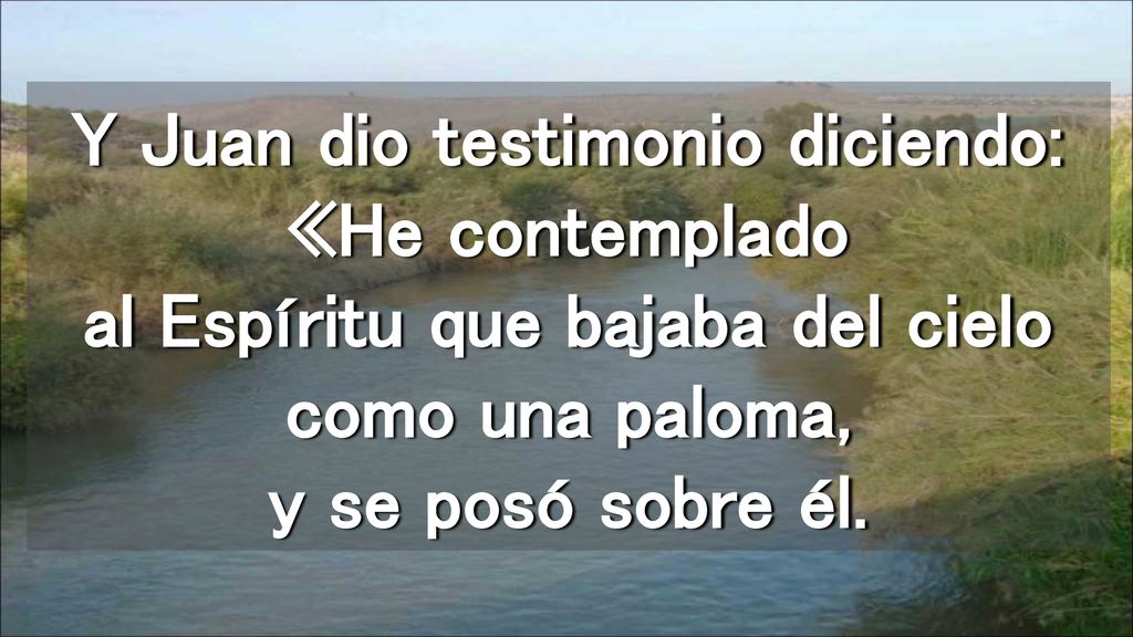 Y Juan dio testimonio diciendo: «He contemplado al Espíritu que bajaba del cielo como una paloma, y se posó sobre él.