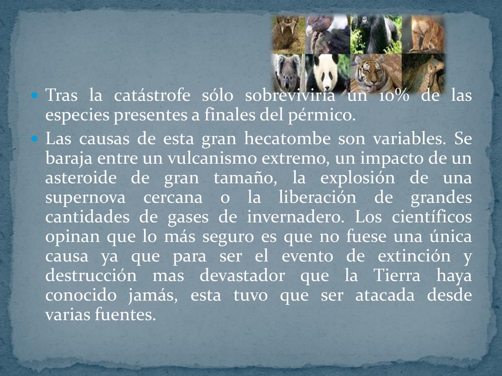 Tras la catástrofe sólo sobreviviría un 10% de las especies presentes a finales del pérmico.