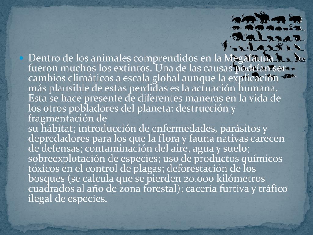 Dentro de los animales comprendidos en la Megafauna fueron muchos los extintos.