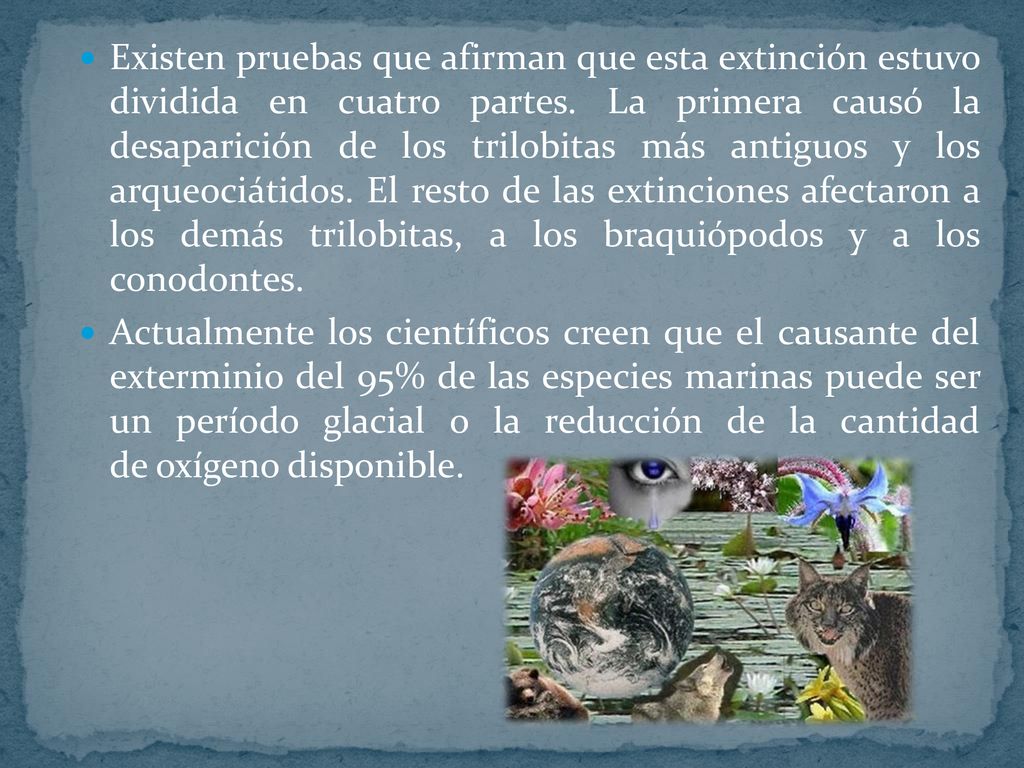 Existen pruebas que afirman que esta extinción estuvo dividida en cuatro partes. La primera causó la desaparición de los trilobitas más antiguos y los arqueociátidos. El resto de las extinciones afectaron a los demás trilobitas, a los braquiópodos y a los conodontes.