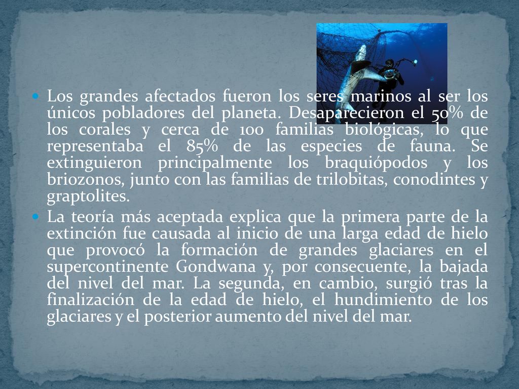 Los grandes afectados fueron los seres marinos al ser los únicos pobladores del planeta. Desaparecieron el 50% de los corales y cerca de 100 familias biológicas, lo que representaba el 85% de las especies de fauna. Se extinguieron principalmente los braquiópodos y los briozonos, junto con las familias de trilobitas, conodintes y graptolites.