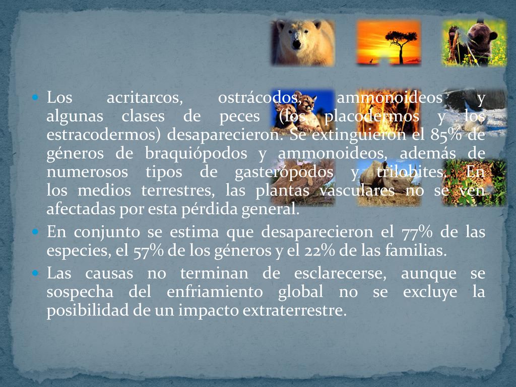 Los acritarcos, ostrácodos, ammonoideos y algunas clases de peces (los placodermos y los estracodermos) desaparecieron. Se extinguieron el 85% de géneros de braquiópodos y ammonoideos, además de numerosos tipos de gasterópodos y trilobites. En los medios terrestres, las plantas vasculares no se ven afectadas por esta pérdida general.