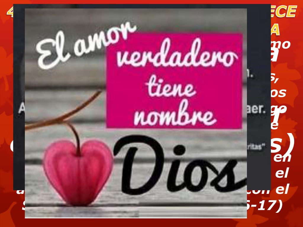 4. LA CASA DE DIOS, NOS OFRECE A LOS QUE ASISTIMOS A ELLA