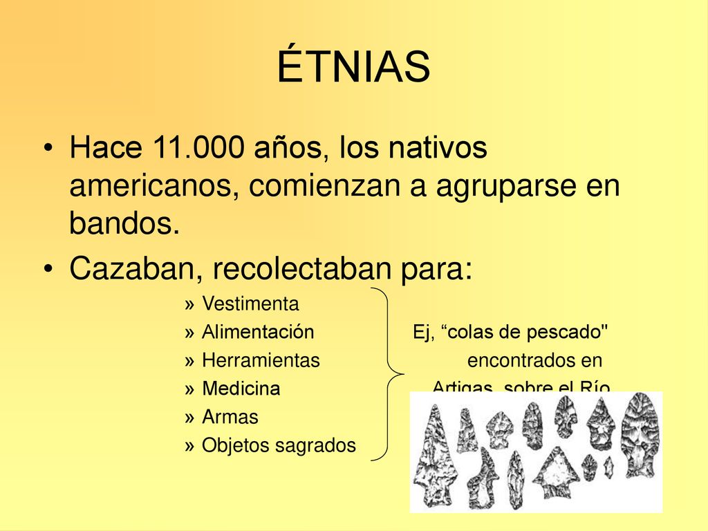 ÉTNIAS Hace años, los nativos americanos, comienzan a agruparse en bandos. Cazaban, recolectaban para: