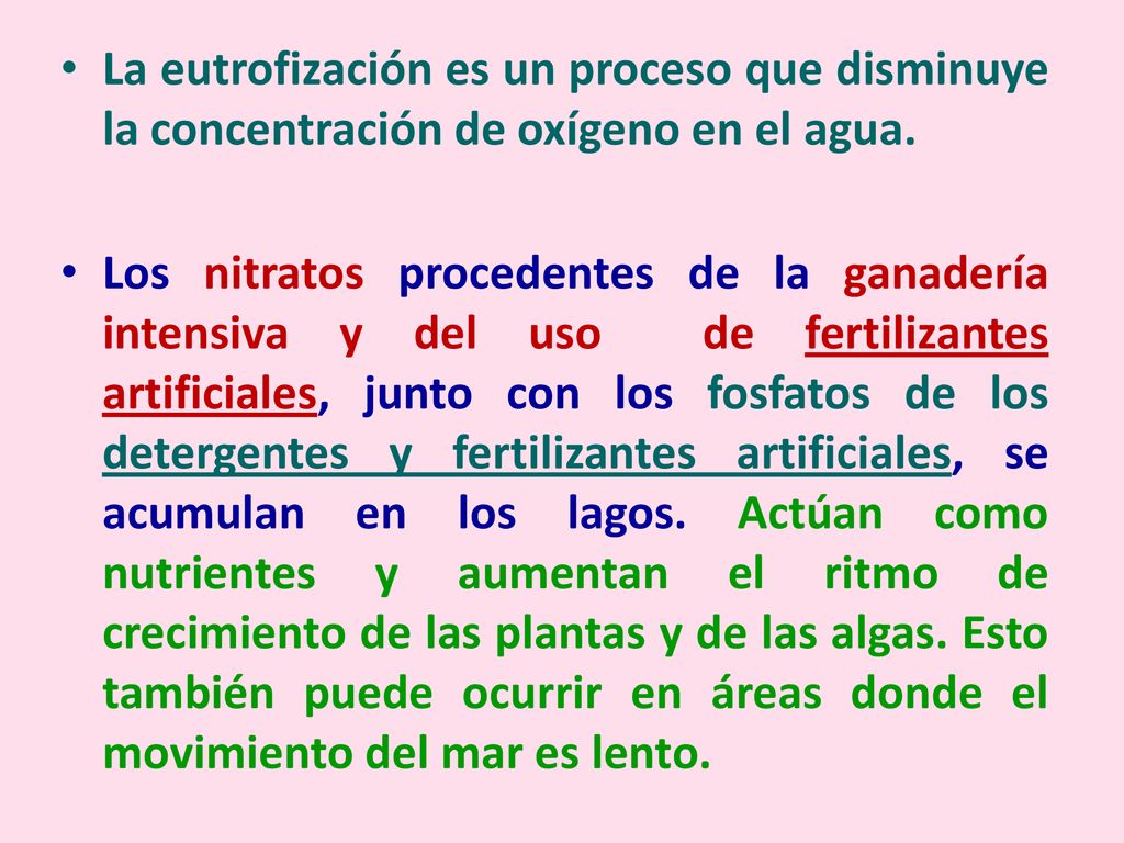 La eutrofización es un proceso que disminuye la concentración de oxígeno en el agua.