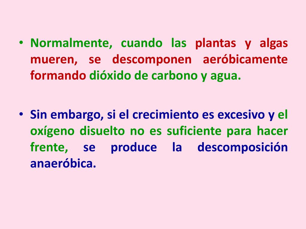Normalmente, cuando las plantas y algas mueren, se descomponen aeróbicamente formando dióxido de carbono y agua.