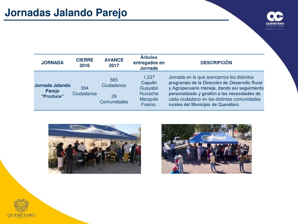 Árboles entregados en Jornada Jornada Jalando Parejo Produce