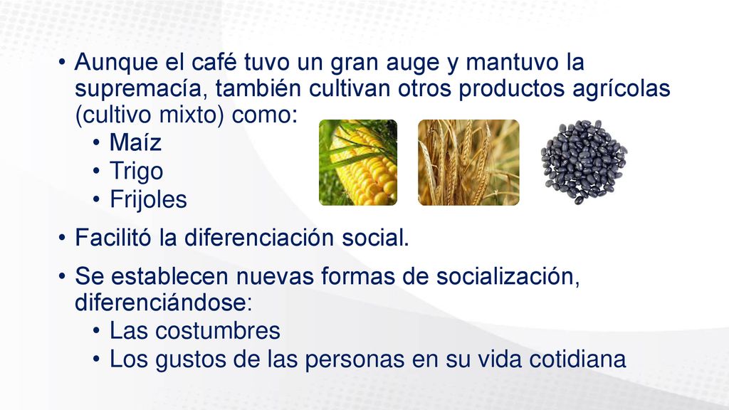 Aunque el café tuvo un gran auge y mantuvo la supremacía, también cultivan otros productos agrícolas (cultivo mixto) como: