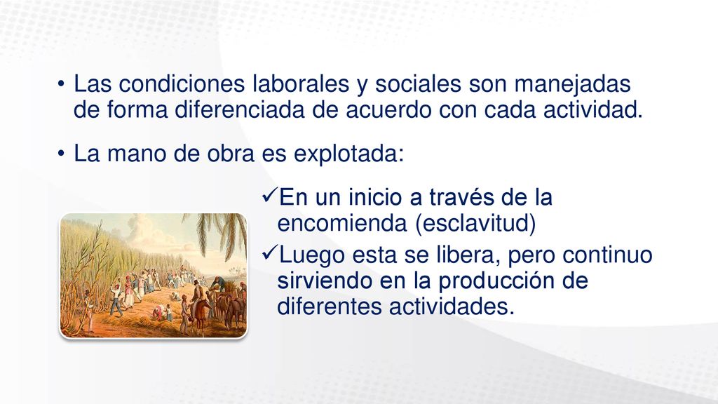 Las condiciones laborales y sociales son manejadas de forma diferenciada de acuerdo con cada actividad.