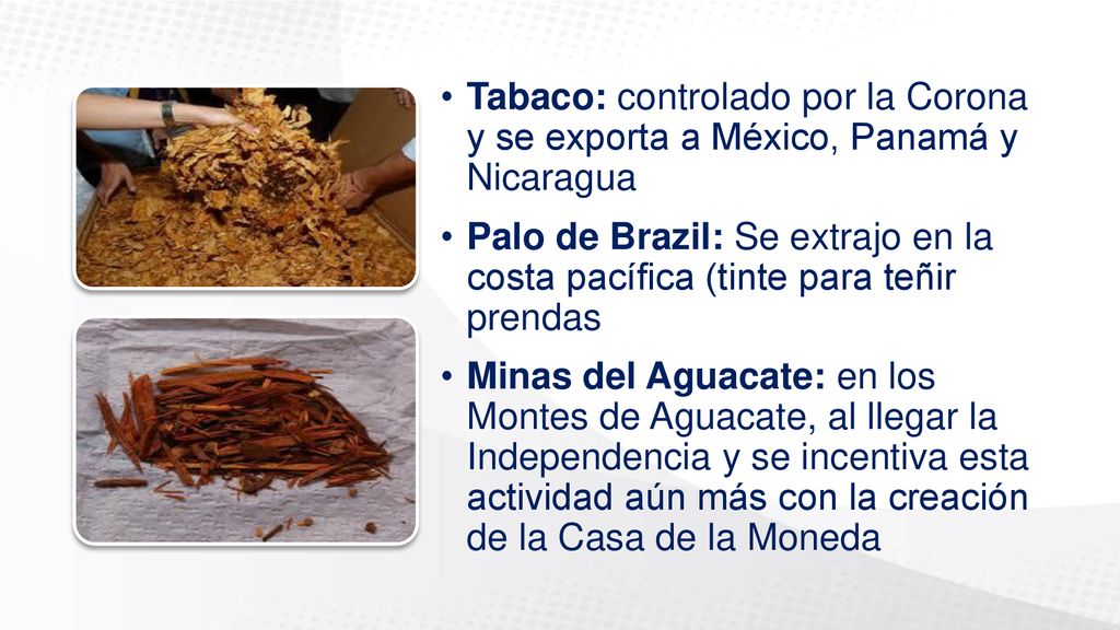 Tabaco: controlado por la Corona y se exporta a México, Panamá y Nicaragua