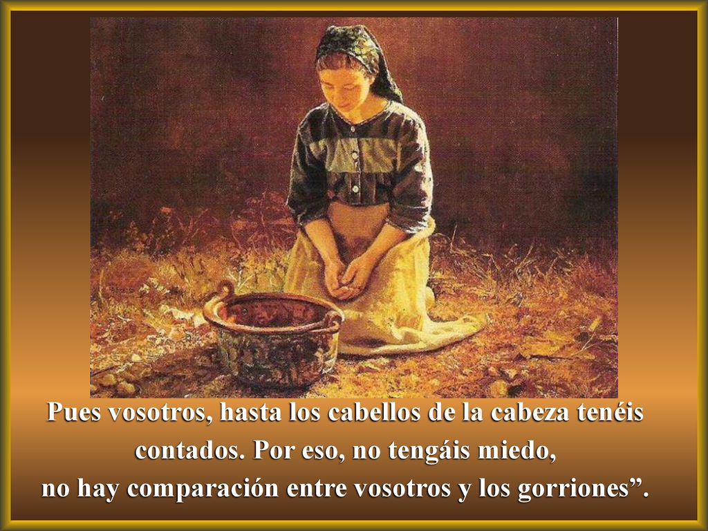 no hay comparación entre vosotros y los gorriones .