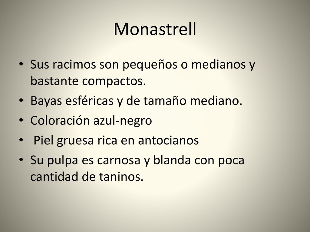 Monastrell Sus racimos son pequeños o medianos y bastante compactos.