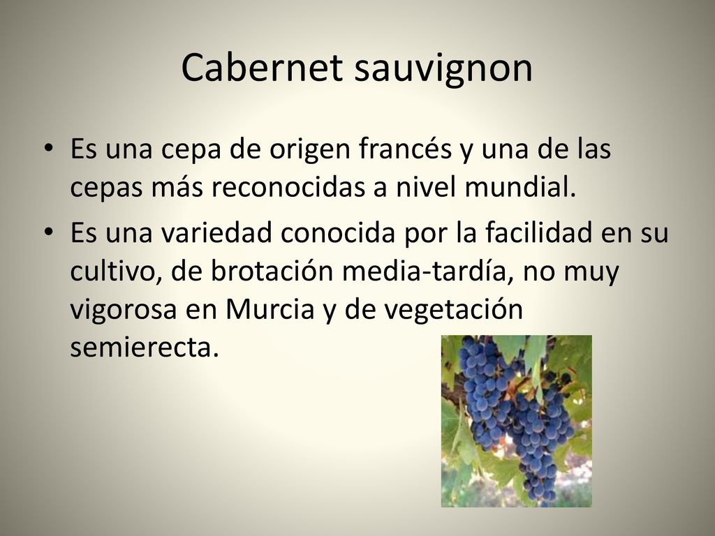 Cabernet sauvignon Es una cepa de origen francés y una de las cepas más reconocidas a nivel mundial.