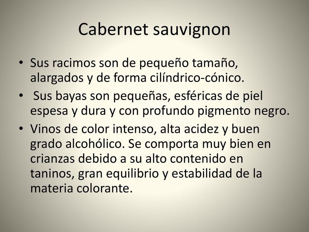 Cabernet sauvignon Sus racimos son de pequeño tamaño, alargados y de forma cilíndrico-cónico.