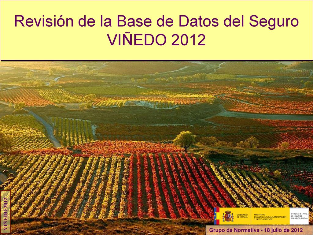 Revisión de la Base de Datos del Seguro VIÑEDO 2012